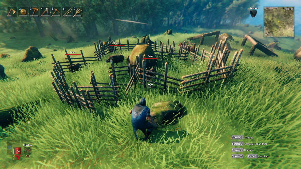 Taming Valheim, apprivoiser les sangliers : Appât et méthode, notre guide