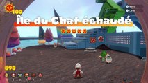 Soluce Mario 3D World Bowser Fury : Île du Chat Échaudé, astres félins