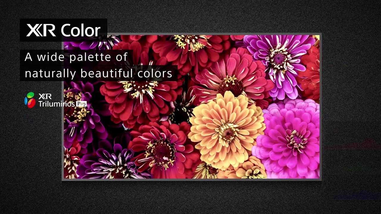 Sony BRAVIA XR A80J OLED 4K HDR TV con Google Assistant