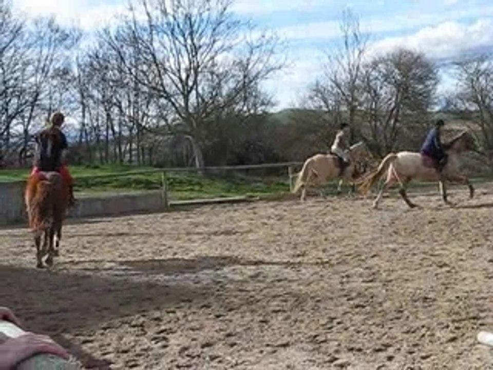 Detente-au-galop