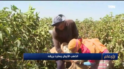 الذهب الأبيض يسترد بريقه