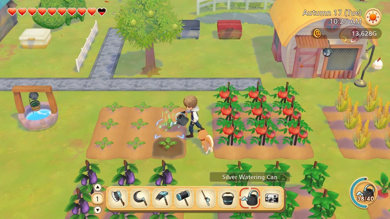 Nos astuces pour bien débuter Story of Seasons Pioneers of Olive Town