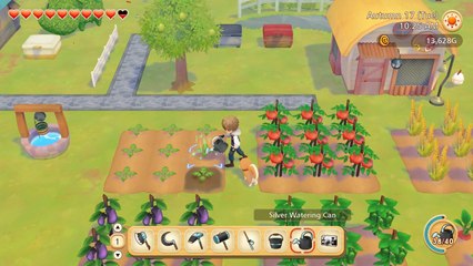 Nos astuces pour bien débuter Story of Seasons Pioneers of Olive Town