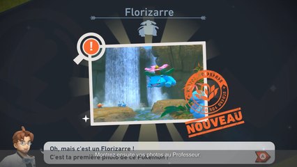 Pokémon GO Community Day de mai 2021 : Tylton à l'honneur