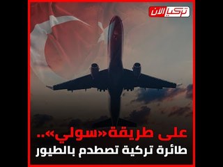 على طريقة «سولي».. طائرة تركية تصطدم بالطيور