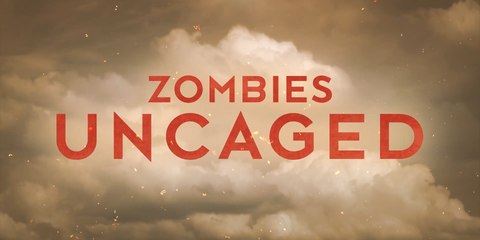 Quelle est la meilleure classe pour le Dragunov sur Warzone ?