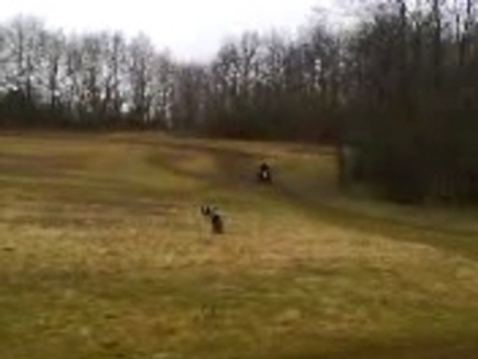 quad cross