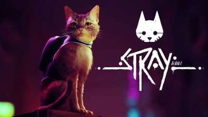 Stray montre du gameplay et repousse sa sortie