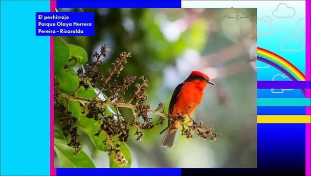 LOS COLORES DE LA VIDA, PRIMER PROGRAMA MARTES 28 DE SEPTIEMBRE 2021