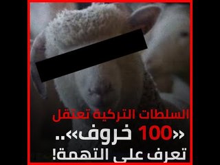 السلطات التركية تعتقل «100 خروف»  تعرف على التهمة!