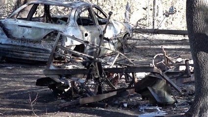 Families return home to destruction after Fawn Fire