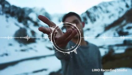 Never Walk Alone Skyldeberg Remix - Sture Zetterberg feat Tomas Skyldeberg