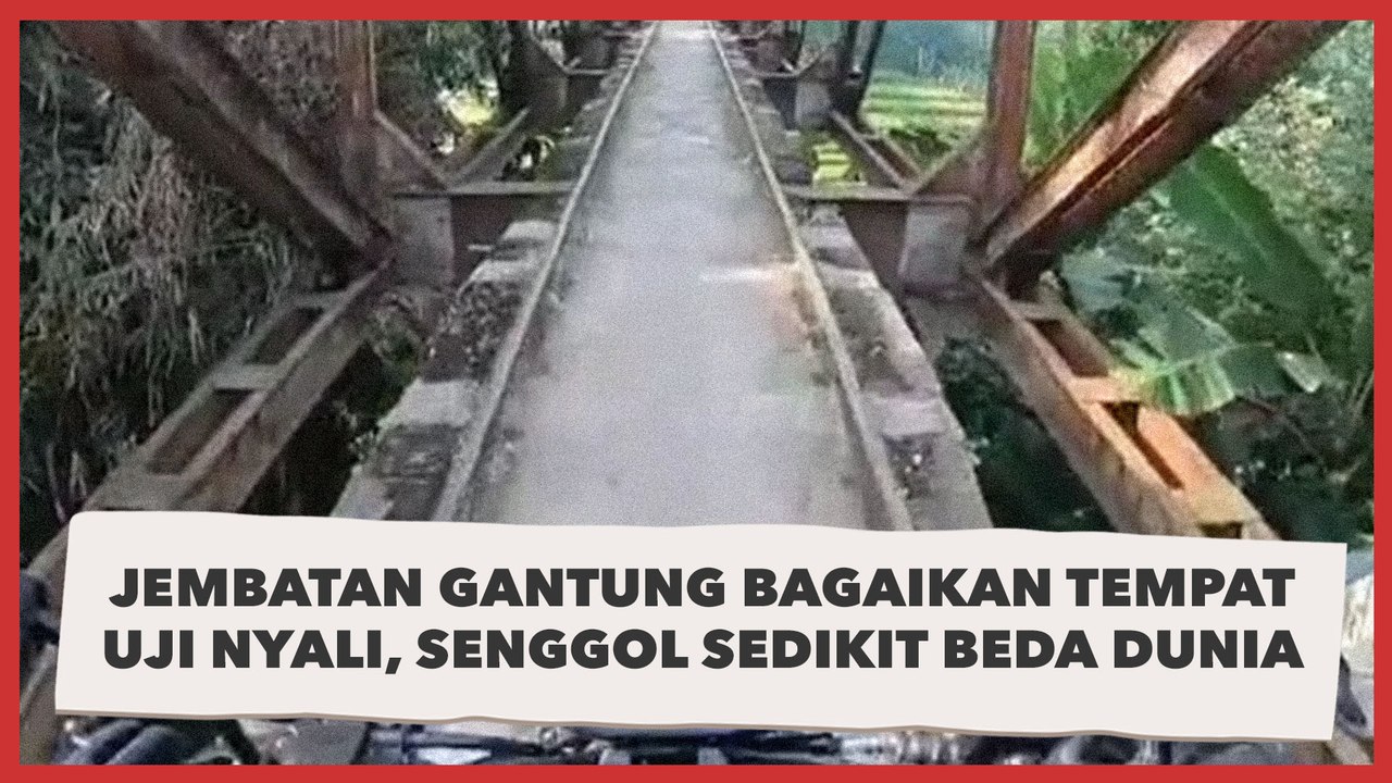 Viral Jembatan Gantung Bagaikan Tempat Uji Nyal...