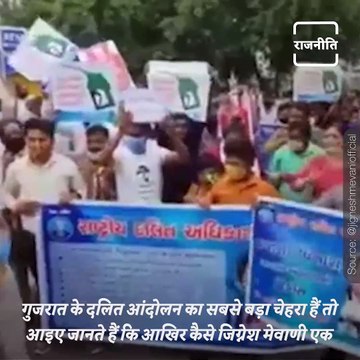 Life And Times Of Gujarat MLA Jignesh Mevani