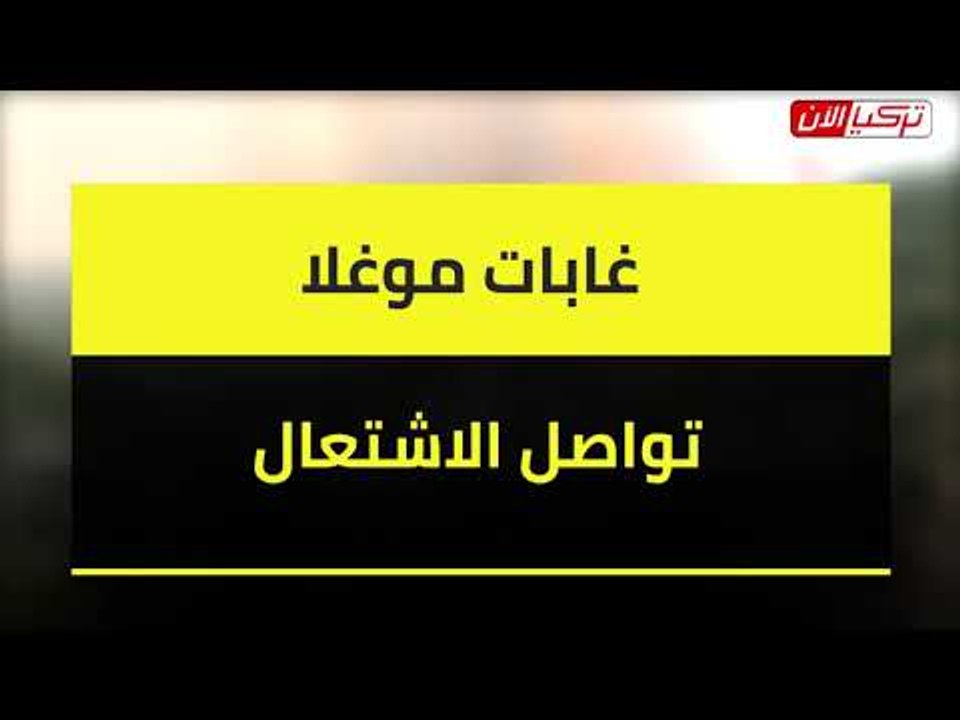 غابات موغلا تواصل الاشتعال