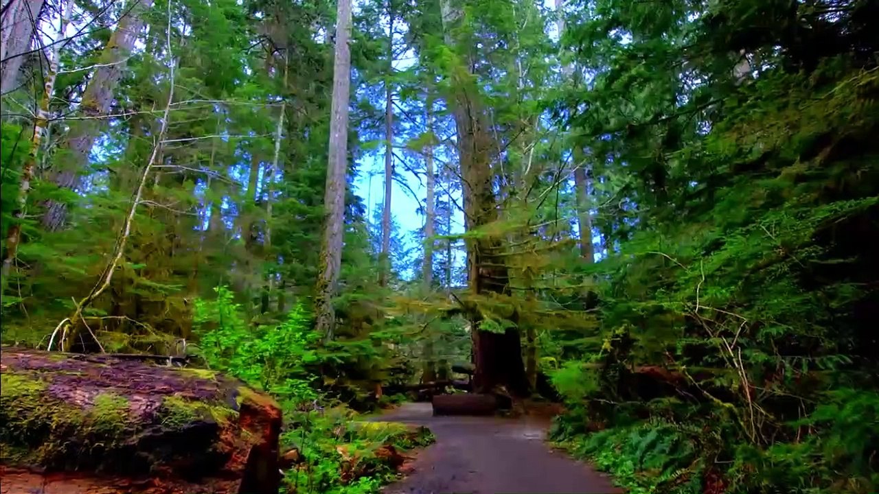 Natural Beauty of North America 8K Ultra HD