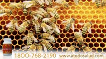 BEE BEE CURE