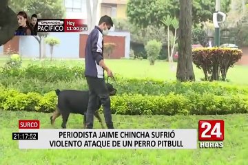 Periodista Jaime Chincha denunció que perro sin bozal lo mordió y dejó ensangrentado