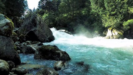 River 4K Video |Nature beauty |Nature