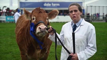 Northen Ireland farmers optimistic for future as they gather amid Brexit and Covid-19
