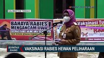 Pemprov Kalteng Gelar Vaksinasi Rabies Hewan Peliharaan