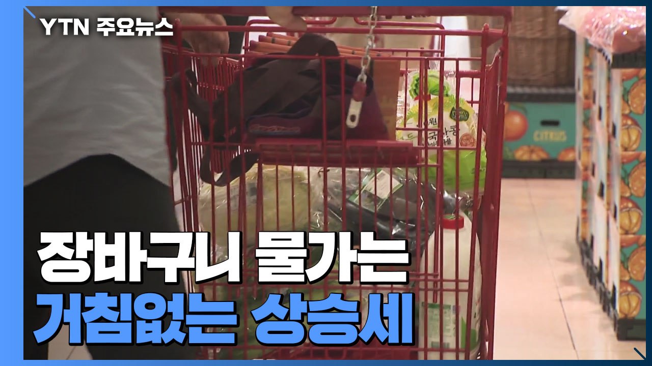 "공공요금 연말까지 동결"...장바구니 물가 부담은 '쑥' / YTN
