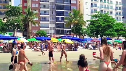 Meet the Fica a Dica Channel Partners Part 1