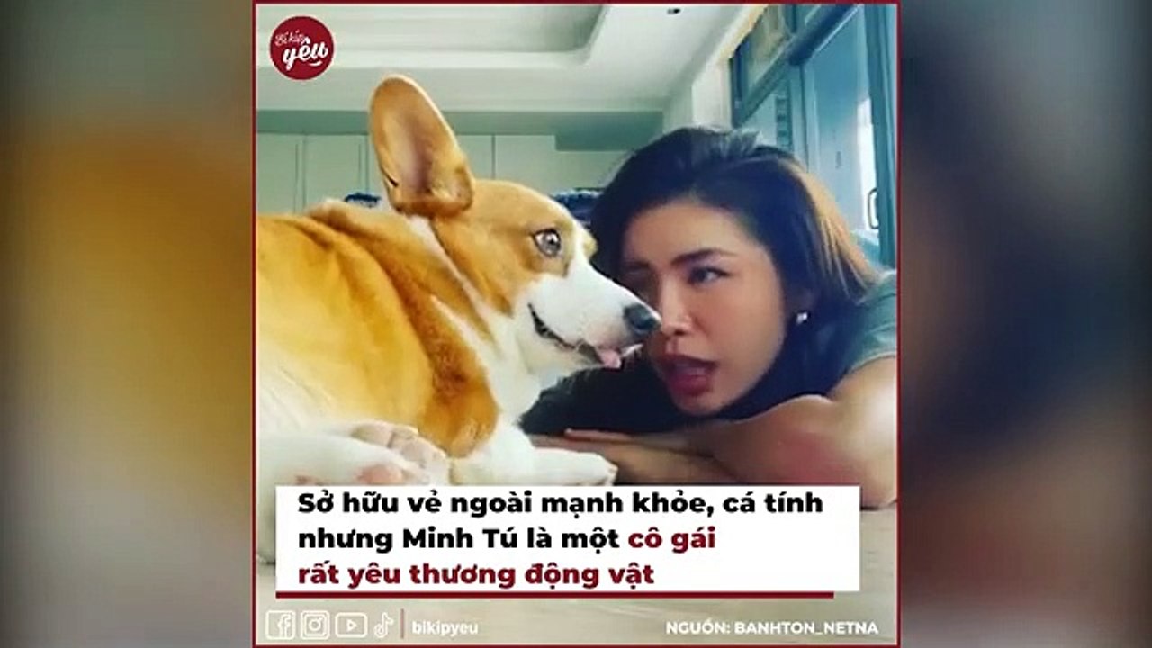 Khi sao Việt gia nhập hội làm “sen”: Thánh cuồng thú cưng như Jsol cũng chưa chơi lớn bằng Bảo Anh