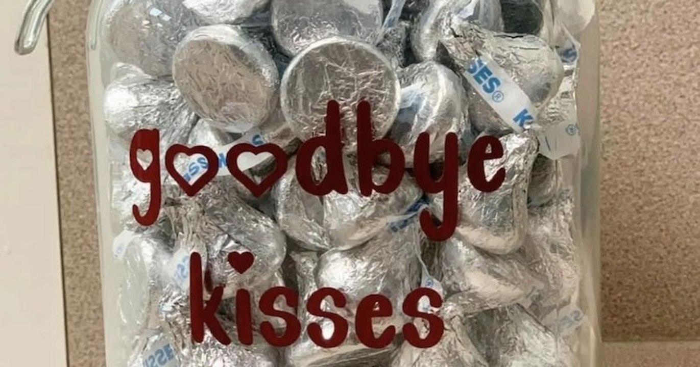 Une clinique vétérinaire offre du chocolat à des chiens qui doivent se faire euthanasier