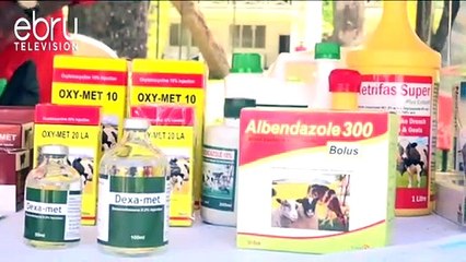 VETS Petition Against The Kenya Food And Authority Bill