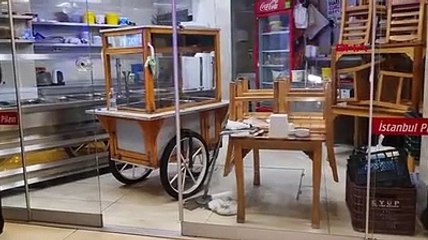 Pilavcıya giren hırsız: Yiyecek bir şeyler aradım, o sırada polisler geldi