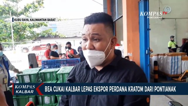 Ekspor Perdana Kratom Langsung dari Pontianak ke Belanda