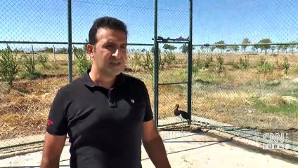 Tüyleri kesilen "kara leylek" tedavide