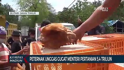 Peternak Unggas Gugat Menteri Pertanian 5,4 Triliun Rupiah