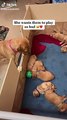 Cute and funny baby dogs Videos cutest moment of the dogs - Cutest Puppies #Shorts