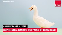 Empreintes de pas, canard parlant et Boys Band à l'ONU - Camille passe au vert
