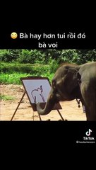 Voi tự họa bức vẽ làm  sửng sốt tất cả