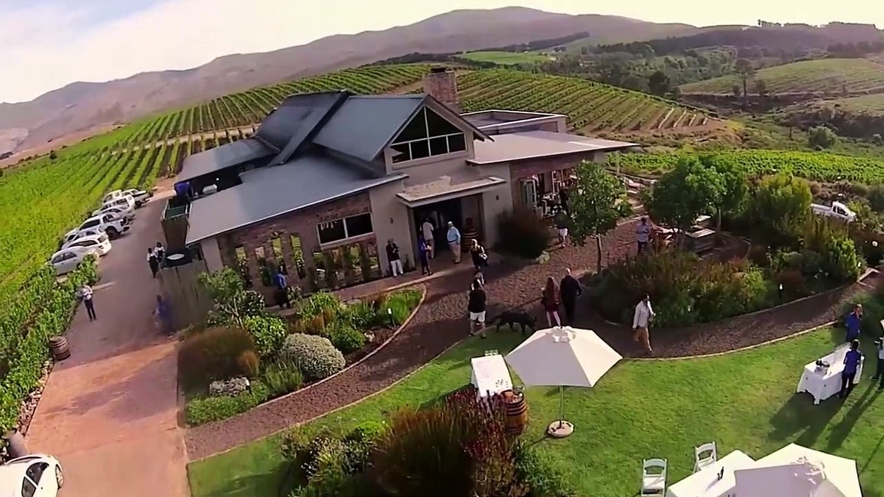 Enogastronomia, ecco quali sono i migliori dieci vigneti al mondo. Nella top10 c'è anche l'Italia