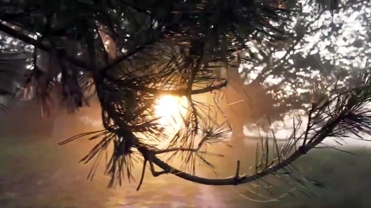 Relaxing music with nature sound (relaxing music, sleeping music, meditation music, study music) (1)