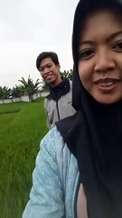 Jalan Jalan Melihat Sawah