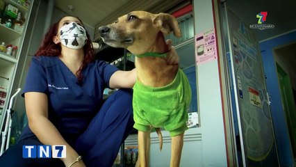 td7-salud-animal-ligada-a-salud-de-las-personas-290921