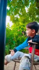 Gujarati comedy clips _HD