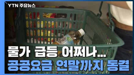 "공공요금 연말까지 동결"...장바구니 물가 부담은 '쑥' / YTN