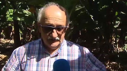 Las cenizas se cuelan en las salinas de La Palma