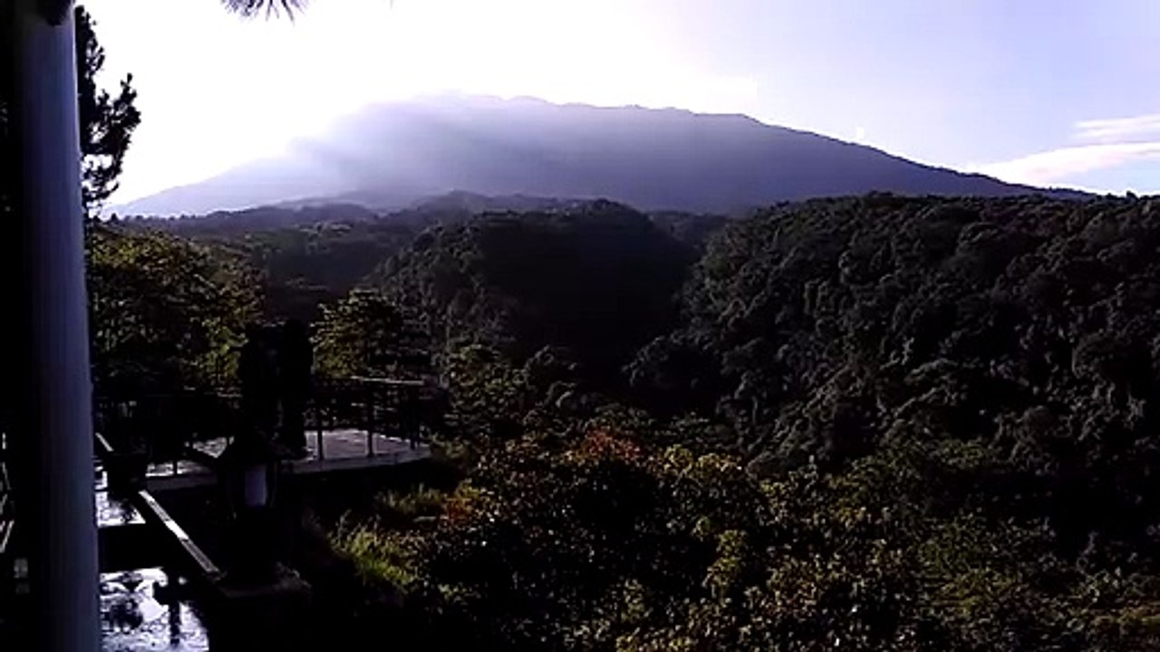 In the morning