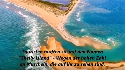 Neue Rechtschreibung_ neue Insel und Haie
