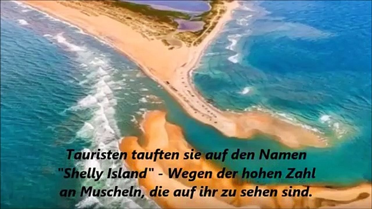 Neue Rechtschreibung_ neue Insel und Haie