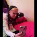 Funniest Animals Ever  - Awesome Funny Animals' Life Videos - Funniest Pets