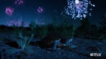 Documental La tierra de noche | Trailer