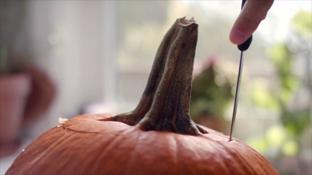 How Long Do Carved Pumpkins Last?